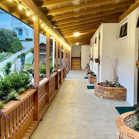 The Swiss Chalet Holiday Apartment 5, Bay Of Islands Paihia Zewnętrze zdjęcie